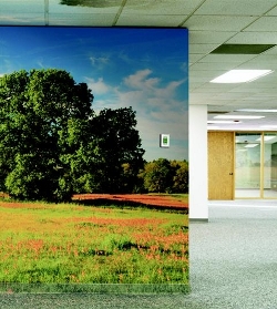 Environment
